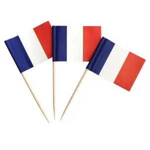 10 Mini French Flag Toothpick Decorations