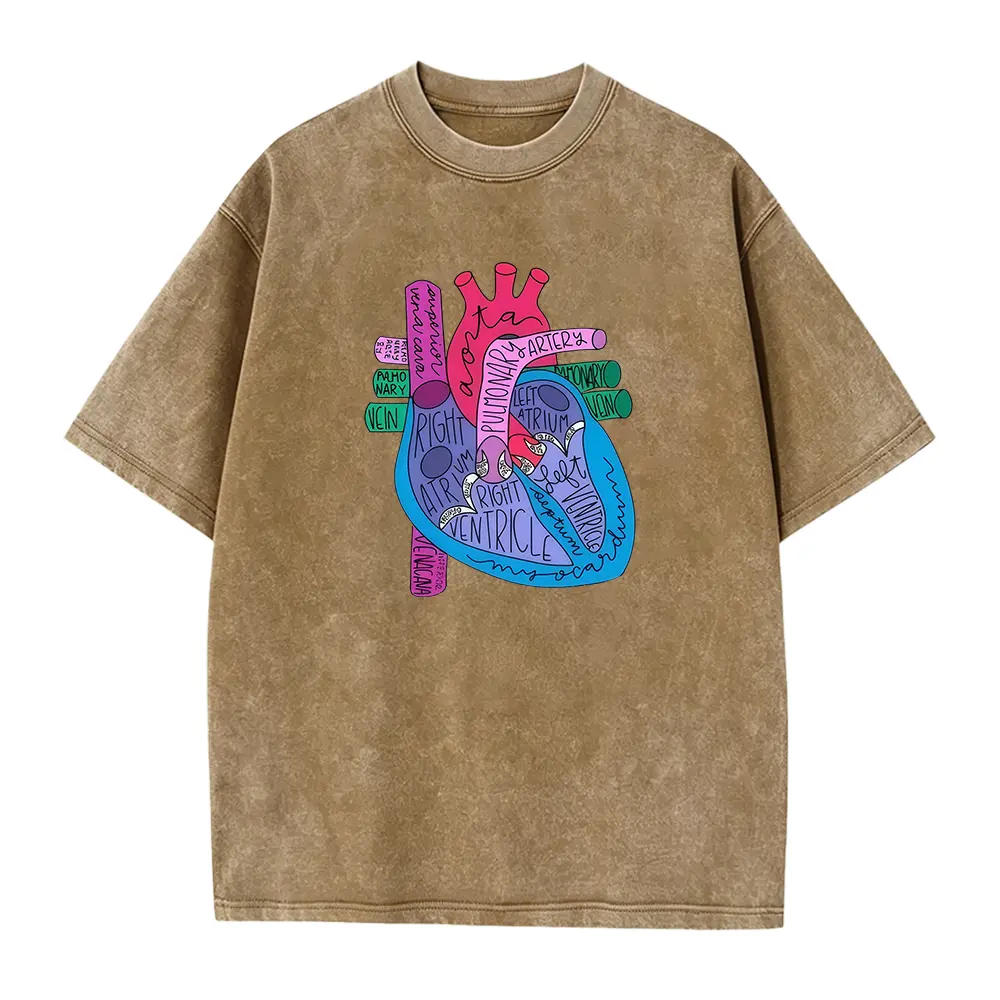 Menswear Cotton Fabric Seamless Short-Sleeve T-Shirt, Heather Navy Unisex Top with Colorful Labeled Heart Anatomy Medical Graphic for Nurses