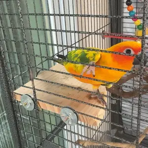 Wooden Bird Perch, Fan Shaped Bird Stand, Claw Grinding and Gnawing Rest Platform for Parrot (1 Count)