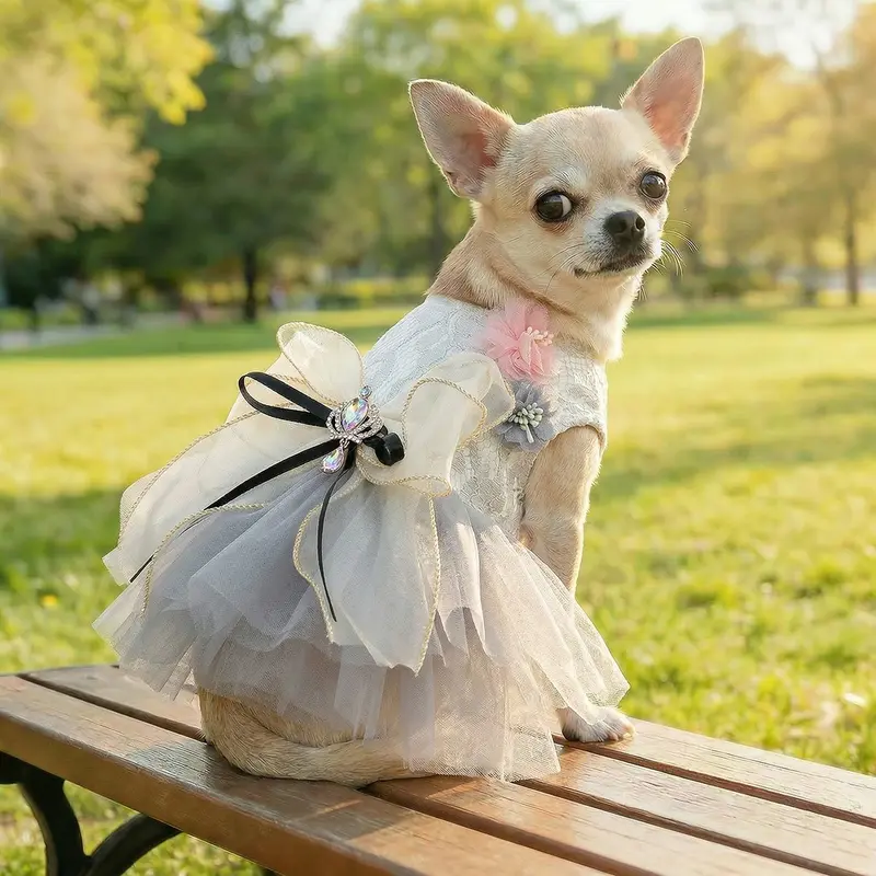 open lace back dress Luxury design Pearl Rose Fur dog Princess Dress – Rocky & Maggie's