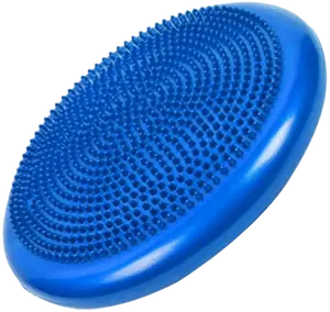 French Fitness 33cm Balance Cushion / Stability Disc (New)