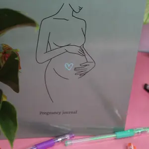 You Are My Sonshine Pregnancy Journal
