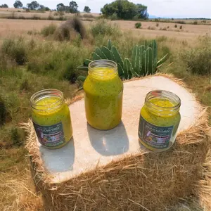 16oz Glass jar Haitian organic spice/seasoning+epis Flavor Natural Homemade