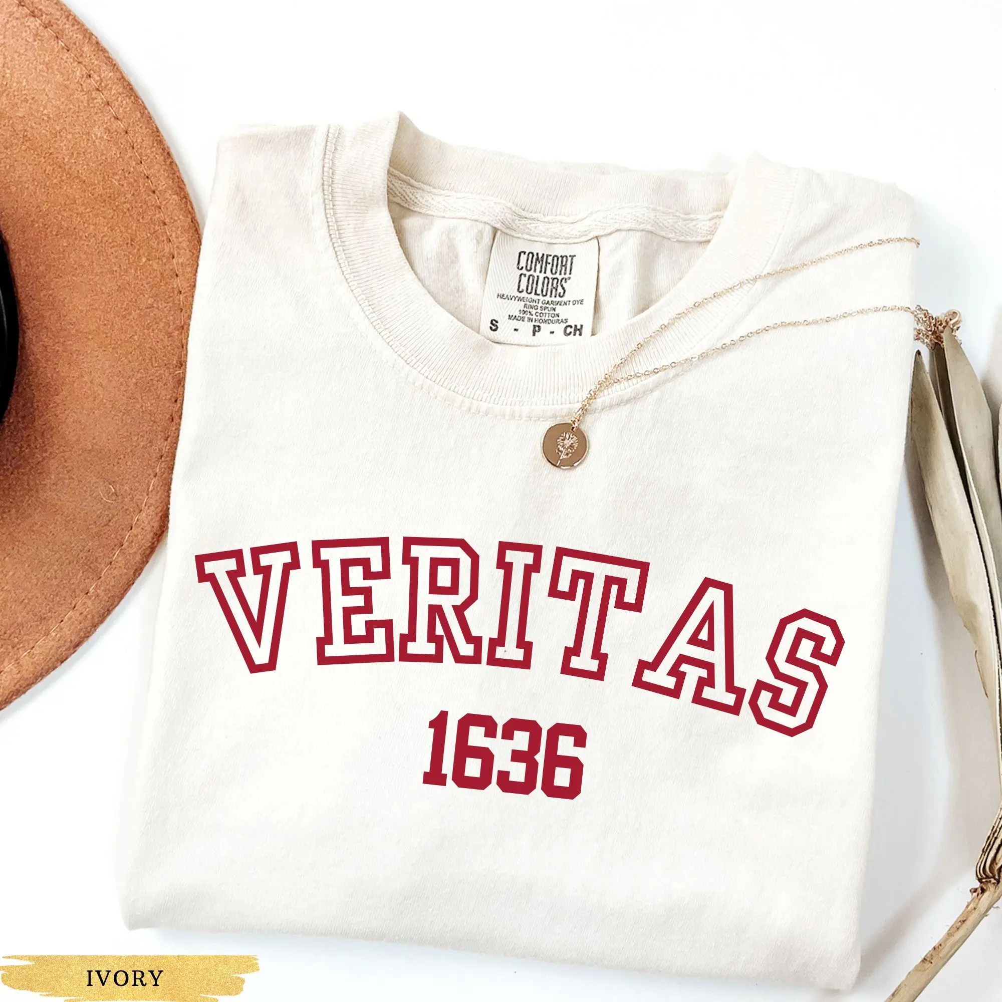 Comfort Colors®  Veritas Shirt, Support Harvard Resistance Shirt, Protect Higher Education Academic Independence Shirt