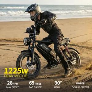 Windhorse V8 Mini Powerful Electric Bike with Bluetooth Speaker & Simulated Moto Sound, 16" Fat Tire 20-28MPH, 65Miles PAS Range, 1255W Peak Motor, 48V 15.6AH Battery, UL2849 Certified. All-Terrain Bicycle, Electric Motorcycle, Full Suspension System