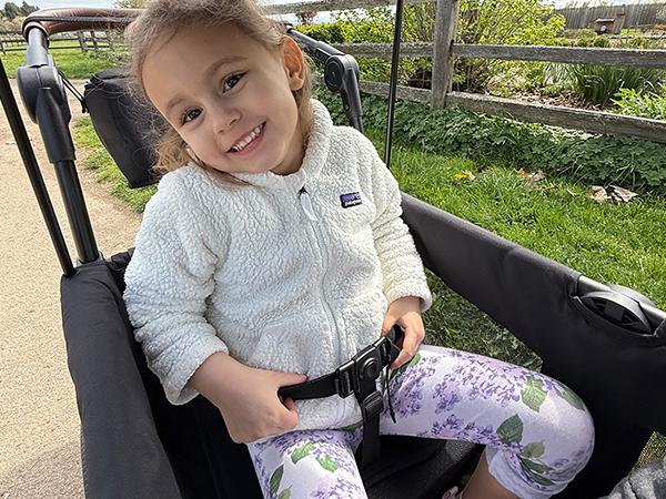 HARPPA Baby Stroller Wagon, All-Terrain Wagon Stroller for 2 with Canopy, Foldable 2 Kids Stroller, Wagon for Outdoor & Beach, Adjustable Handlebar, Parent Organizer, Travel System