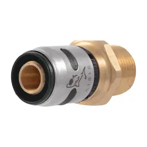 Sharkbite  EvoPEX Push to Connect 0.5 in. Push x 0.5 in. Dia. MPT Male Connector - Case of 6