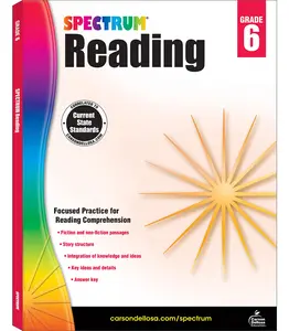 Spectrum Reading Workbook, Grade 6: Volume 25 -- Spectrum - Paperback