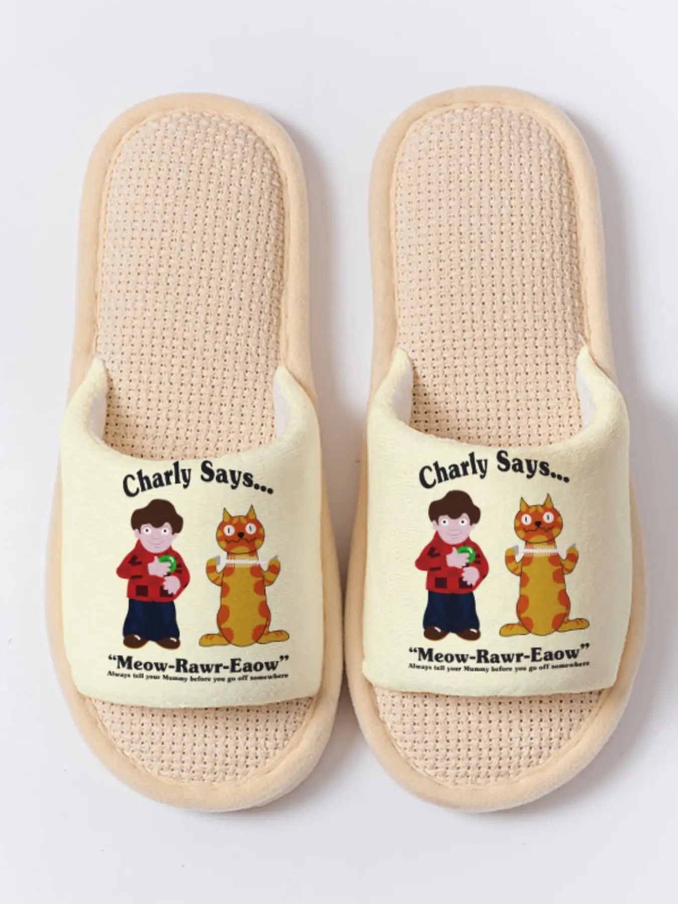 Charly & Cat "Meow-Rawr-Eaow" Funny Slippers Cloud-Feeling Retro Playful Nostalgic Style Indoor Outdoor Must-Have