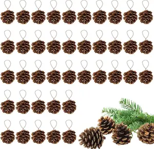 40 Pcs Natural Mini Christmas Pine Cones - Tiny Pinecones for Crafts, Bulk Pine Cones Ornaments with Strings for Wreath Garlands Fall Christmas Tree DIY Gift Tag Wedding Decor