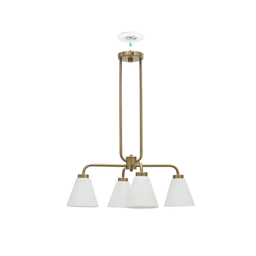 Plug & Play Wynridge 4-Light Chandelier in Transitional and Modern Style-59.6 Inches Tall and 24 Inches Wide