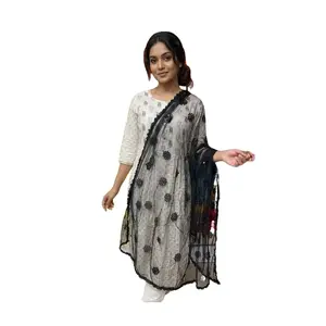 SWL-11 Elegant Sheer Shawl with Tonal Sequin Floral Embroidery and Lace Border