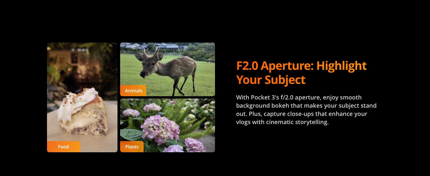 DJI Osmo Pocket 3, Vlogging Cameras with 1'' CMOS & 4K/120fps Vlog Camera, 3-Axis Stabilization, Fast Focusing, Face/Object Tracking, Digital Vlogging Camera for YouTube