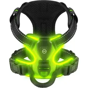 LED Reflective No-Pull Dog Harness - USB Rechargeable Light Up Safety Vest for Night Walking, 3 Glowing Modes, Breathable & Adjustable Comfort