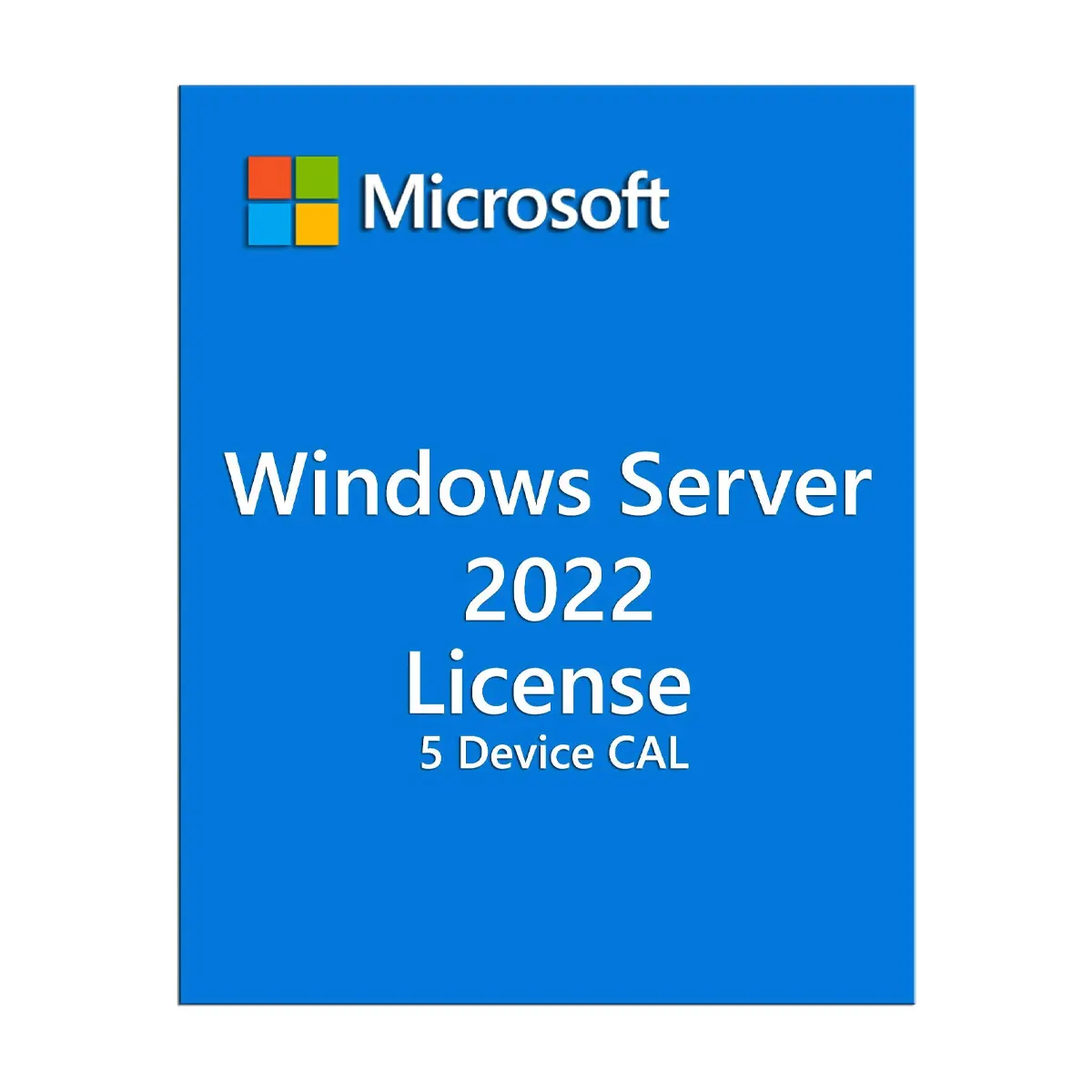 Microsoft Windows Server 2022 License, 5 Device CALs