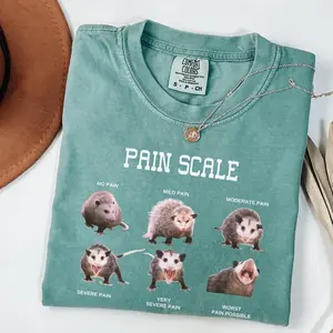 Comfort Colors Nurse Pain Scale Pain Assessment Shirt, Funny Nurse Tee, Nurse Crewneck, Gift For Nurse, Oversized tee