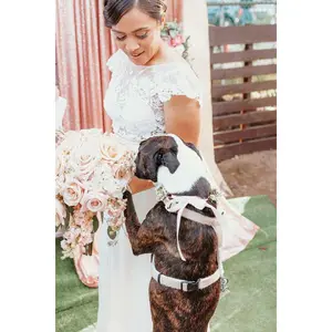 Dog Harness and Leash | Durable Adjustable Hemp Set - Beige