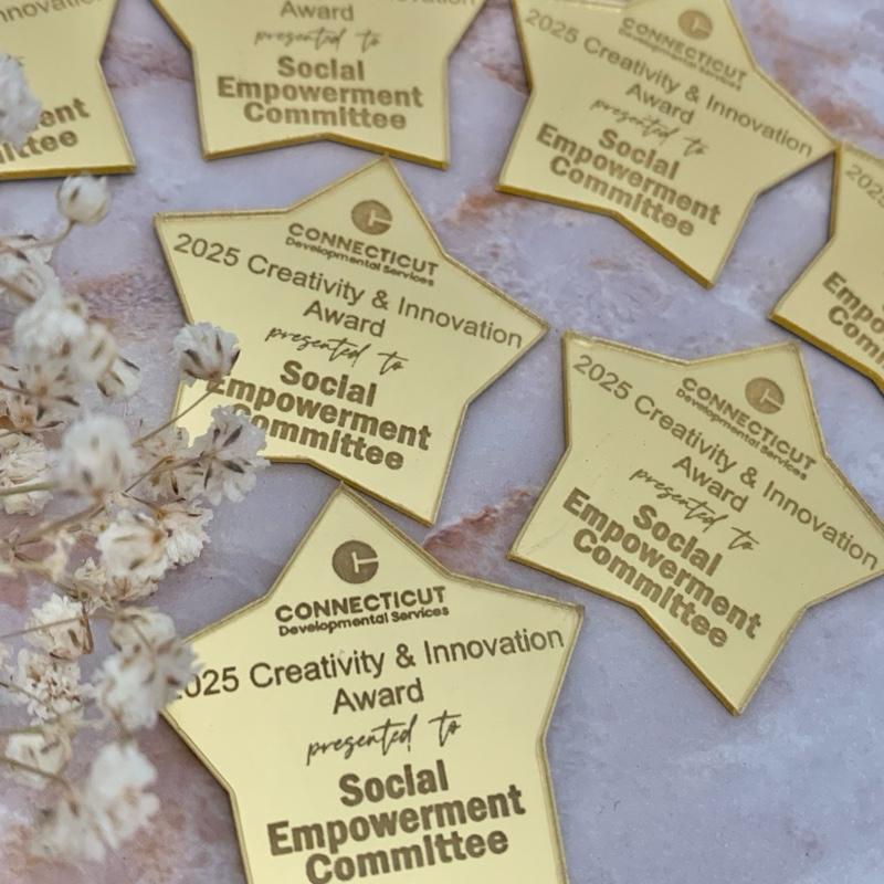 12 units custom acrylic logo tags for you business