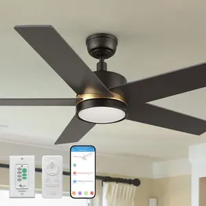 Lakeland Ⅱ Outdoor/Indoor Smart Ceiling Fan with LED Light Remote 52 inch
