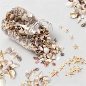 Natural Mixed Seashells for Beach Crafts, DIY Home Decor, Vase Filler, Candle Making, Wedding Party Decorations, Ocean Theme Art Supplies, 1200-Piece Bulk Seashell Collection