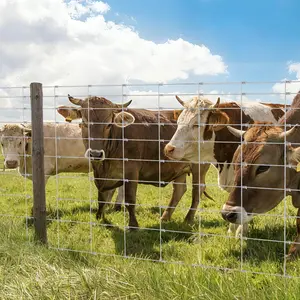 5Ft x 328Ft Livestock Fence, Heavy Duty Galvanized Zinc Wire Fencing, Cattle Farm Fence, Deer Goat Fences for Goat Deer Yard Livestock Protection