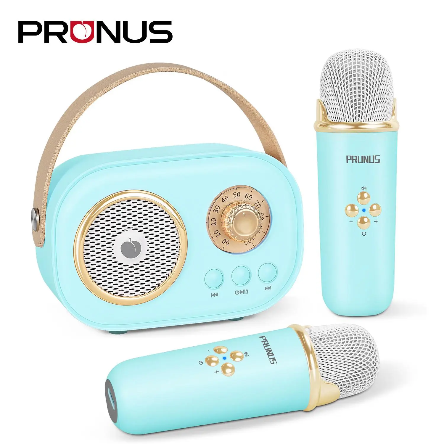 PRUNUS C20 Mini Karaoke Machine Portable Bluetooth Audio Speaker with Wireless Microphone, 6 Sound Modes, USB Type-C, Stereo for Kids Home Party Birthday Gifts