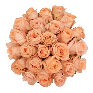 Peach Roses - Choose from 25 to 200 Stems