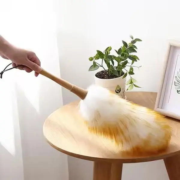 Household Feather Duster - Home Cleaning Products, Ceiling Fan Cleaner, Multisurface Tool, Duster Brush Lightweight