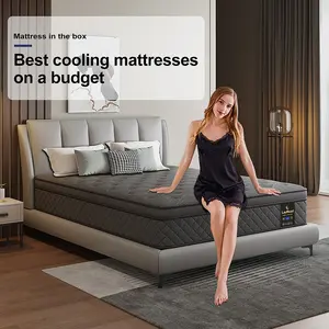 LAYROAD 12/14 Inch Twin Full Queen King Hybrid Mattresses Memory Foam Spring Medium Firmness Lumbar Support for Home Rooms Hotels queen size mattress