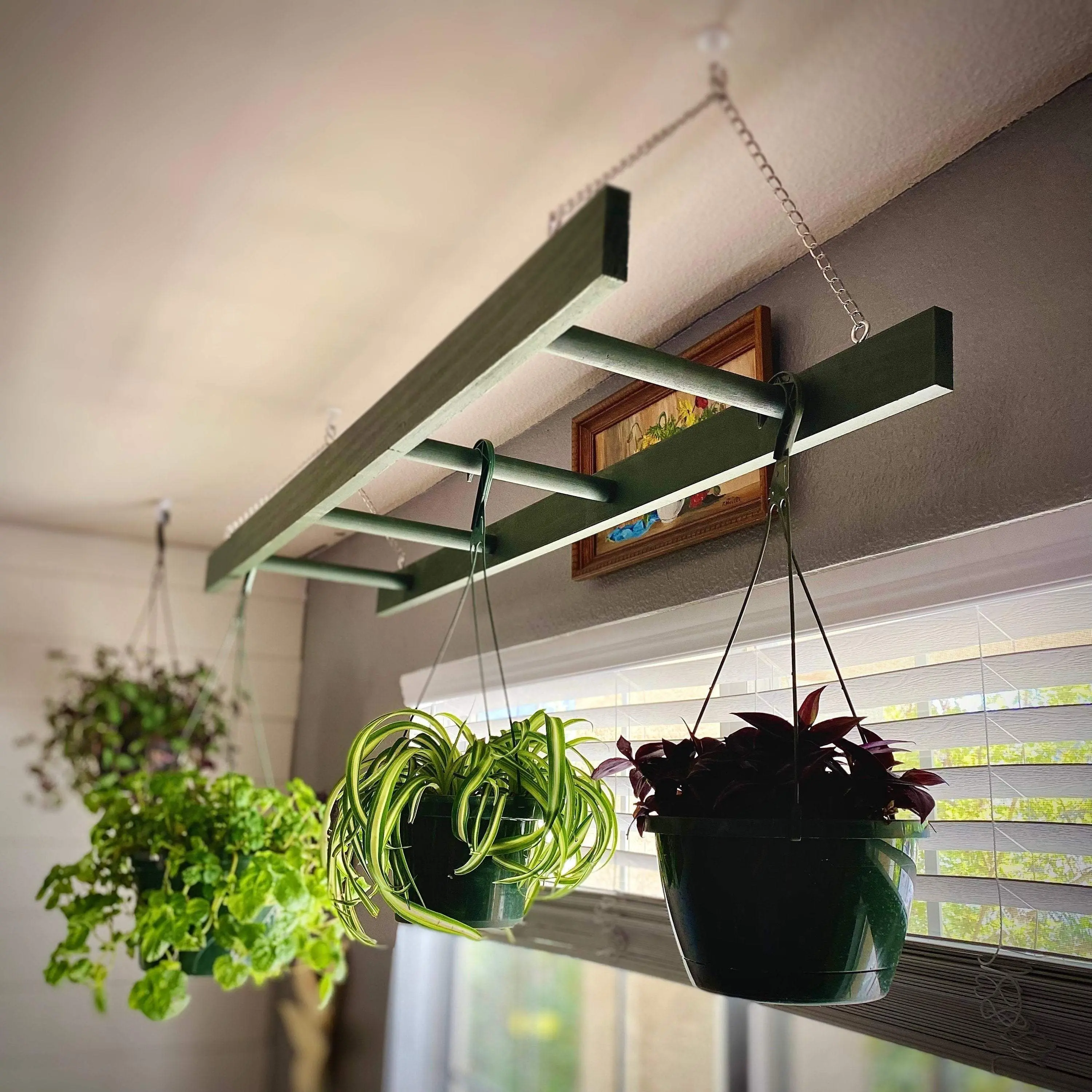 4-Foot (48") Hanging Plant Ladder