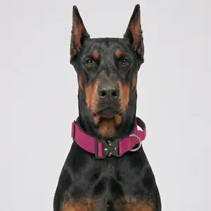 Heavy Duty Dog Collar with Control Handle - Adjustable No Pull K9 Training Collar, Quick Release Metal Buckle for Large Dogs Doberman Pitbull