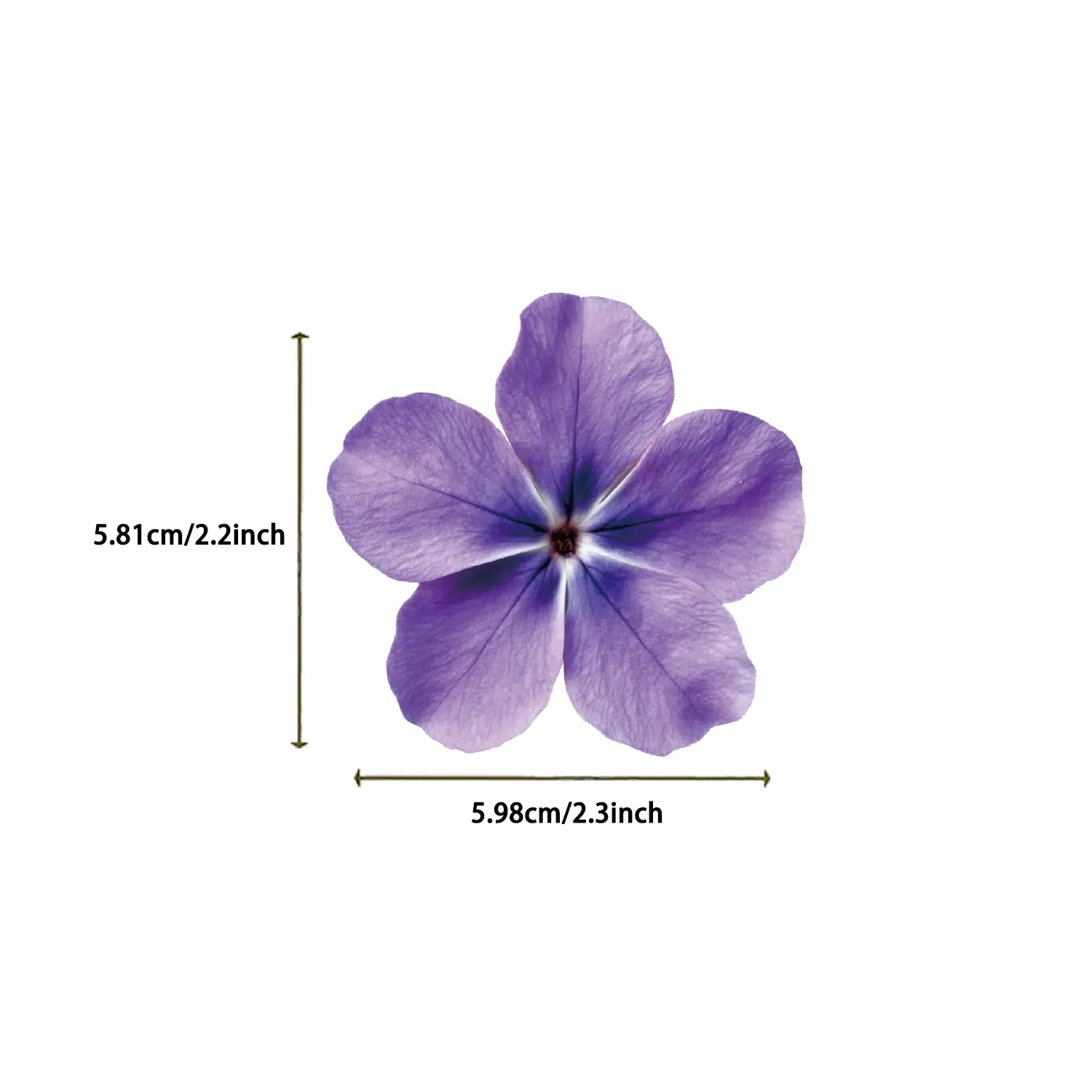 Colorful Flowers Transparent Stickers Pack Waterproof DIY Decorative Water Cups Phone Cases Guitars Scrapbooking