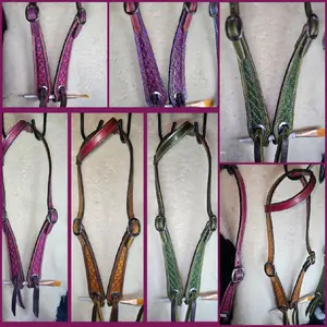 Princess One-Ear Headstalls in Assorted Colors for Equestrian Use