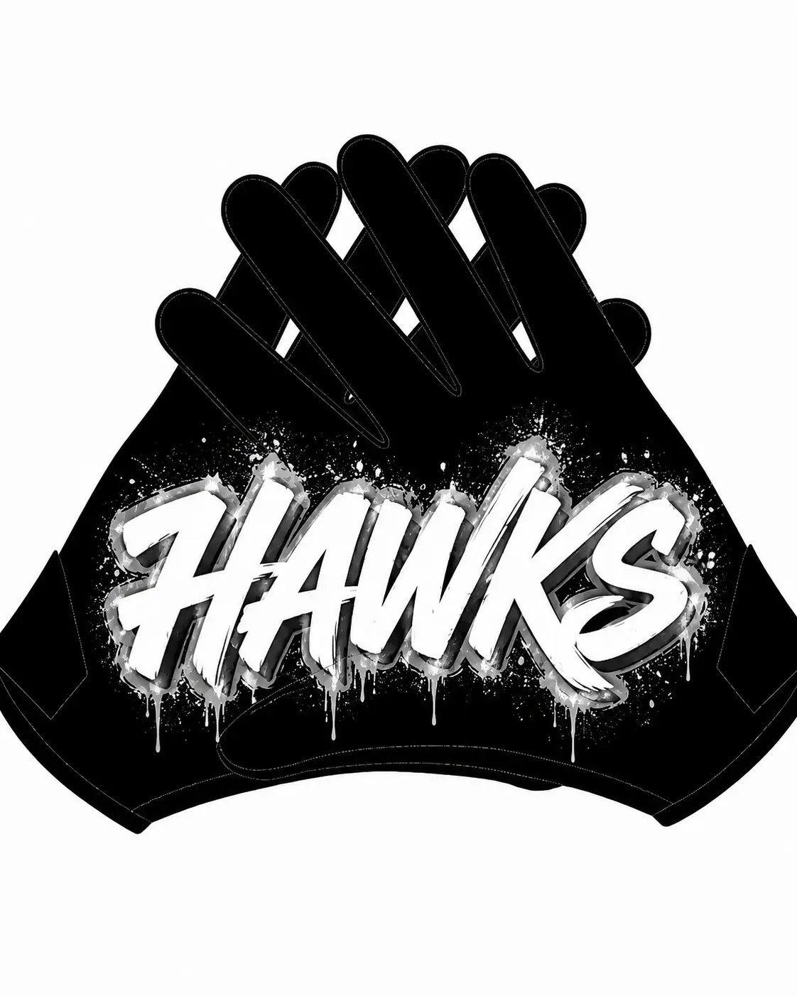 Hawk Nation