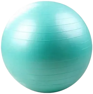 French Fitness Anti Burst Stability Exercise Ball 55cm (New)