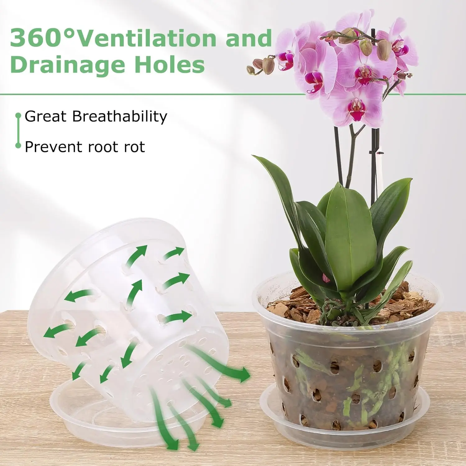 Orchid Pot, 8 Pack 4 Inch Orchid Pots with Holes and Saucers,Clear Plastic  Flower Pot for Indoor Outdoor ,Slotted Orchids Planter(4Inch) - TikTok Shop