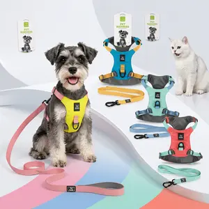 Pet Vest Harness with Matching Leash Kit for Kittens & Mini Puppies - Soft Padded, Breathable, Adjustable Chest & Neck Straps, Reflective Edges for Night Safety, Lightweight Non-Restrictive Design