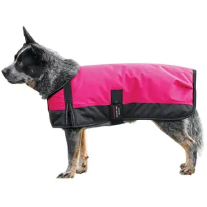 Schneiders Insulated Waterproof Reflective Dog Coat II