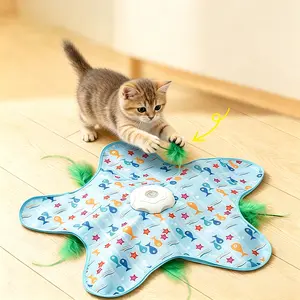A set of interactive kitten magic wand cat toys, rechargeable & with hidden feathers, for indoor exercise and relieving boredom, cat gift hide teaser