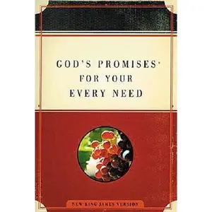 USED-God's Promises for Your Every Need by Thomas Nelson Publishing Staff (Paperback)