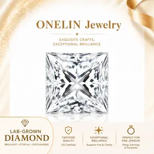 IGI Certified Princess Cut Lab-Grown Diamond - 1.00 Carat - F Color - VS 1 - LG807645567