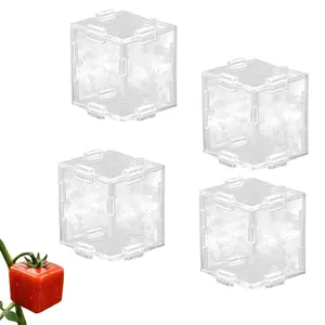 4-Piece Fruit Growing Mold Set, Transparent Square Pumpkin Mold, Novel Vegetable Fruit Mold, Garden Use, Star Heart Square Shapes
