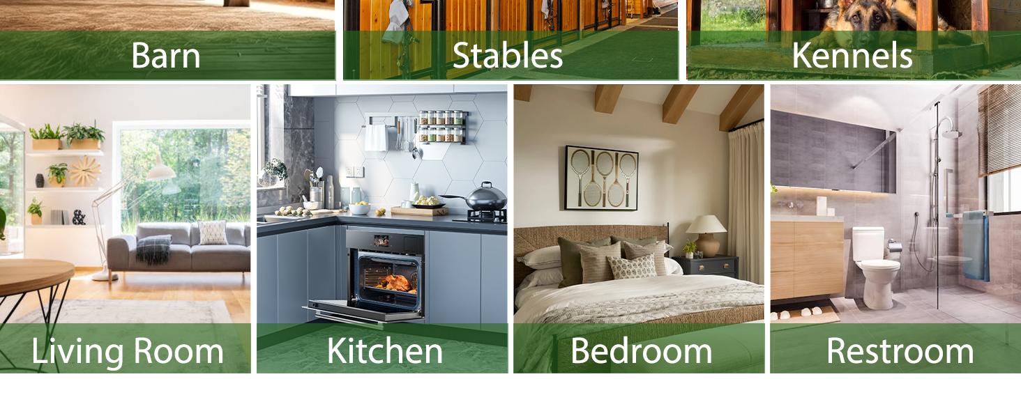 50 Pack Window Fly Trap, Fruit Fly Traps for Indoors, Fly Paper Sticky Strips, Fly Traps for Indoors Clear