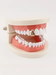 Hiphop Gold Teeth Grillz Single Tooth, Rapper Style Gold Teeth, Streetwear Trendy Personalized Jewelry, Real Gold Plated, All Seasons