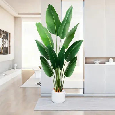 does plants need air Wholesale: Air Plant Care Cards main image 0