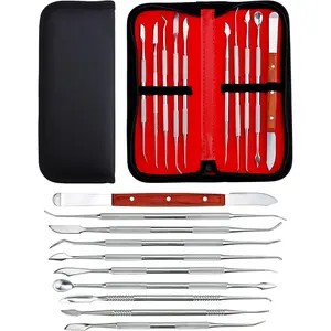 10 count  Wax Carving Tools Set with Case, Stainless Steel Clay Sculpting Pottery Sculpture Tools for  Pottery Sculpting Plaster Carving