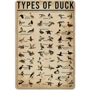 Duck Knowledge Metal Poster Type Of Duck Metal Tin Sign School Club Hunting Lodge Farmhouse Home Art Wall Decoration 16x12 Inch