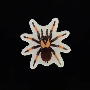 Mexican Red Leg Tarantula Acrylic Magnet Enclosure Tag (Brachypelma emilia)