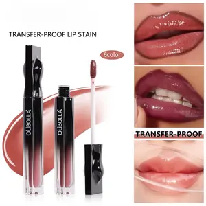 Mirror Gloss Lip Glaze Does Not Stick To Cup Waterproof Moisturizing Lip Gloss, Lip Glaze Moisturizing Pearlescent Lip Gloss Easy To Color Lip Gloss, Colored Lipstick