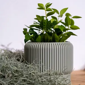 Polly Planters 4" Kyra with Drip Tray - Recycled Plastic, Versatile Design for Indoor/Outdoor Use, Ideal for Home Decor